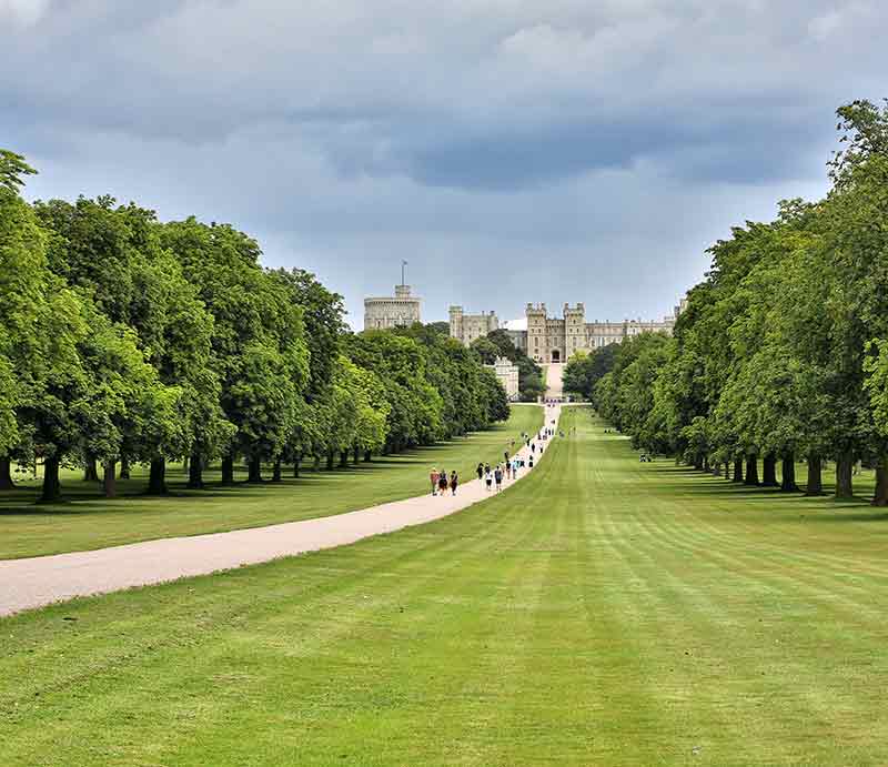 Tree lined avenue with Windsor Castle in the distance.